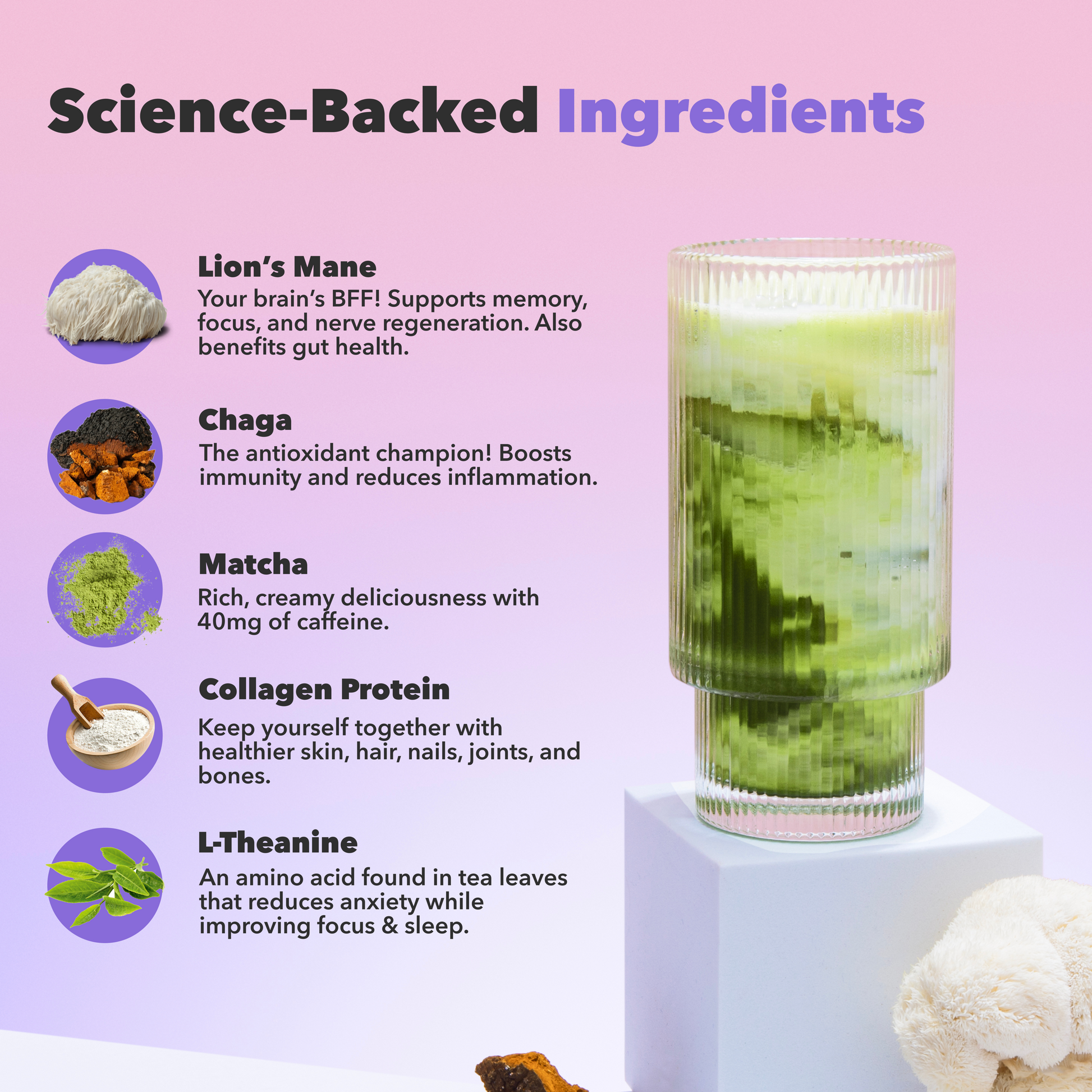90-servings-mushroom-matcha-k0 custom_resized_386f63f8-0691-449c-9e51-462fed6c0033.png